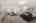 Blurred preview of media: 592 Sugar Road Bolton Massachusetts Job 38874 0071