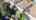 Blurred preview of media: DJI_20250930121729_0212_D