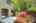 Blurred preview of media: 1-29