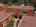 Blurred preview of media: 43 Cresta Verde-2
