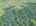 Blurred preview of media: DJI_20260829133959_0315_D_6_D_7_D_easyHDR