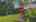 Blurred preview of media: 22