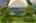 Blurred preview of media: iPixx_10_23