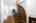 Blurred preview of media: 32