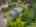 Blurred preview of media: SW Boundary st-54