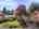 Blurred preview of media: 1-4