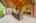Blurred preview of media: 89 Lloyminn Ave, Ancaster _ Nathan ferro93