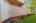 Blurred preview of media: 2