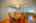 Blurred preview of media: 4376 (75 - 83)
