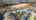 Blurred preview of media: 61