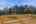 Blurred preview of media: 13580-old-ky-rd_018