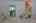 Blurred preview of media: IMG_1591_2_3
