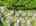 Blurred preview of media: 4-926--3