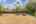 Blurred preview of media: 129MorrisSt-17