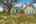 Blurred preview of media: 1309 Hideaway Drive S-19