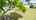Blurred preview of media: Unknown media
