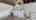 Blurred preview of media: 200 N Indiana Ave-33