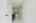 Blurred preview of media: DSC07224
