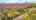 Blurred preview of media: 81