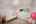 Blurred preview of media: 44-21290_SW_Eastview_Rd