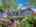 Blurred preview of media: 613 Empey Way SJ - 67