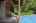 Blurred preview of media: Nerine_028