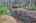 Blurred preview of media: IMG_9751_2_3_easyHDR