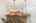 Blurred preview of media: Nerine_113