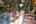 Blurred preview of media: DSC_5889_90_91_easyHDR