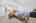 Blurred preview of media: 4342 Mountain Dance Dr 00005