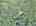 Blurred preview of media: DJI_20260829134057_0318_D_19_D_20_D_easyHDR
