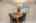 Blurred preview of media: 1-23