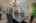 Blurred preview of media: DSC_3436