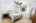 Blurred preview of media: 24