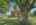 Blurred preview of media: 17