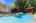 Blurred preview of media: Nerine_024