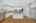 Blurred preview of media: 1-826-2349