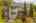 Blurred preview of media: Aerial 05