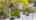 Blurred preview of media: 71