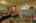 Blurred preview of media: IMG_6587_8_9