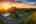 Blurred preview of media: Main Front