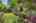 Blurred preview of media: 32