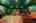 Blurred preview of media: 35