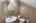 Blurred preview of media: 3-926-4175