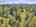 Blurred preview of media: DJI_20250802145549_0696_D_609_0697_D_609_0698_D_easyHDR