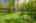 Blurred preview of media: Kerwood-43
