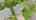 Blurred preview of media: DJI_20261001114120_0798_D