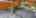 Blurred preview of media: NZ9_9549