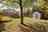 Blurred preview of media: IMG_0319