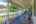 Blurred preview of media: 081A0133-Edit